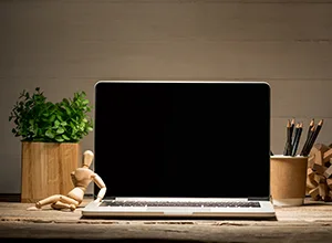 More News - 开云体育下载
